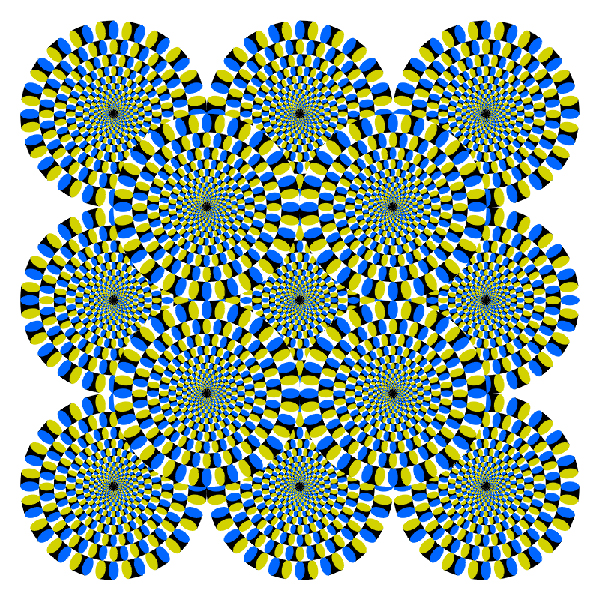 The image appears to be moving even though it