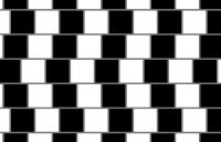 Cafe wall illusion - cafe wall illusion geometricaloptical high resolution
