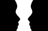 Figureground Organization - figure ground organization gestalt psychology illusion