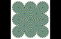 Illusory Motion - illusory motion fixation jitter visual cortex illusion rotsnake