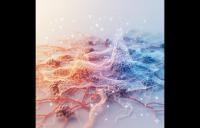 OCT Data Analytics - digital endpoints ophthalmic clinical trials clinical trials vvp vivid vision perimetry stimulus placement tool amd glaucoma oct retinal image